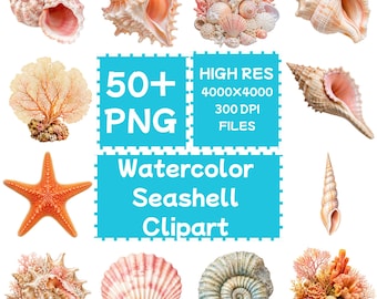 Watercolor Seashell Clipart 50+PNG, Digital Download, Commercial Use