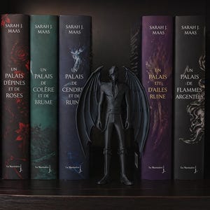 Peut inclure: Une étagère avec cinq livres de Sarah J. Maas, avec des titres en français. Une figurine sombre avec de grandes ailes se tient devant les livres. Les livres ont des dos de couleurs variées : rouge, vert, bleu, violet et noir.