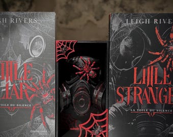 BookNook Little Stranger