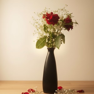 Modern Triangular Bottle Shape Vase | Ceramic Flower Vase for Home Decor, Room & Centerpiece Styling