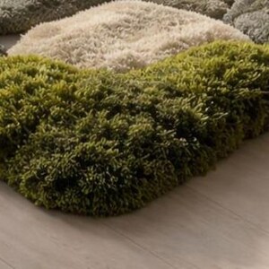 May include: A multi-colored rug with a shaggy texture. The rug features a combination of green, beige, and gray sections, creating a textured, organic appearance. The rug is placed on a light-colored wooden floor.