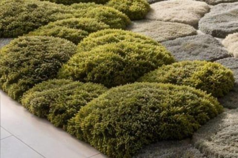 May include: A textured rug with a unique design. The rug features a pattern of rounded, moss-like tufts in shades of green, creating a natural, organic look. The background has a stone-like pattern in neutral tones, adding contrast and depth.