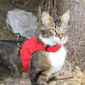 Mynwood Cat Walking Jacket Harness Vest all Tracked shipping Red