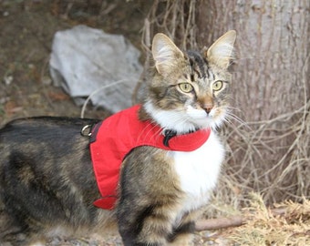 Mynwood Cat Walking Jacket Harness Vest - kitten or adult - all Tracked shipping