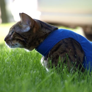 Mynwood Cat Walking Jacket Harness Vest all Tracked shipping Blue