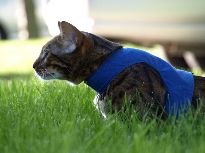 Mynwood Cat Walking Jacket Harness Vest all Tracked shipping Blue