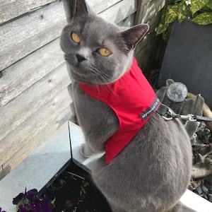 Mynwood Cat Walking Jacket Harness Vest - kitten or adult - all Tracked shipping
