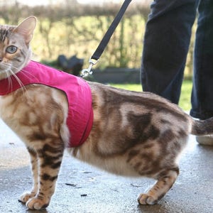 Mynwood Cat Walking Jacket Harness Weste alle Sendungsverfolgung Rosa