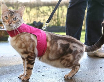 Mynwood Cat Walking Jacket Harness Weste - Kätzchen oder Erwachsene - alle Sendungsverfolgung