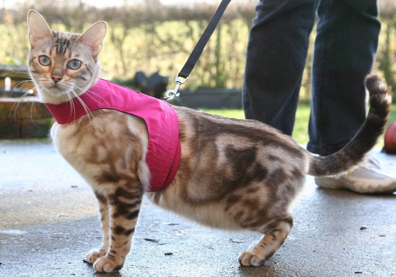 Mynwood Cat Walking Jacket Harness Vest all Tracked shipping Pink