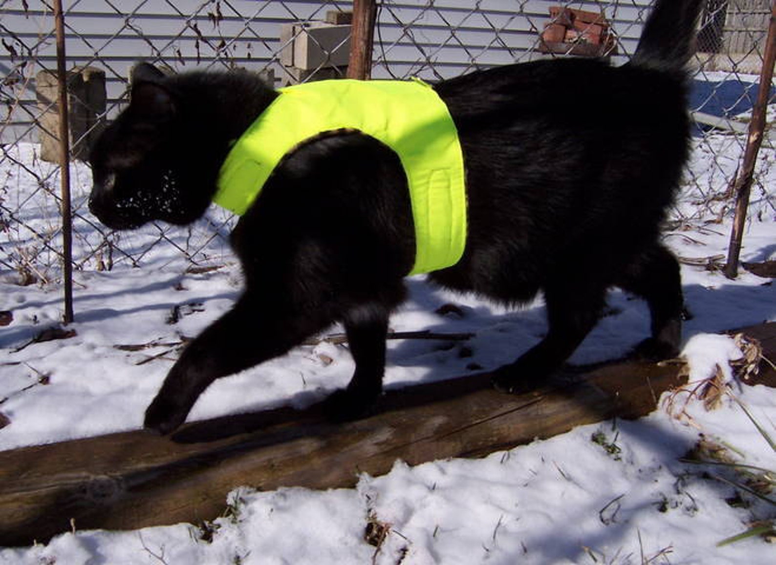 Mynwood Cat Walking Jacket Harness Vest High Visability Yellow Etsy