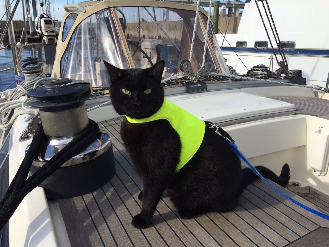 Mynwood Cat Walking Jacket Harness Vest High Visability Yellow Etsy