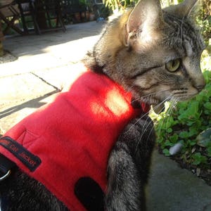 Mynwood Cat Walking Jacket Harness Vest all Tracked shipping Red Fleece