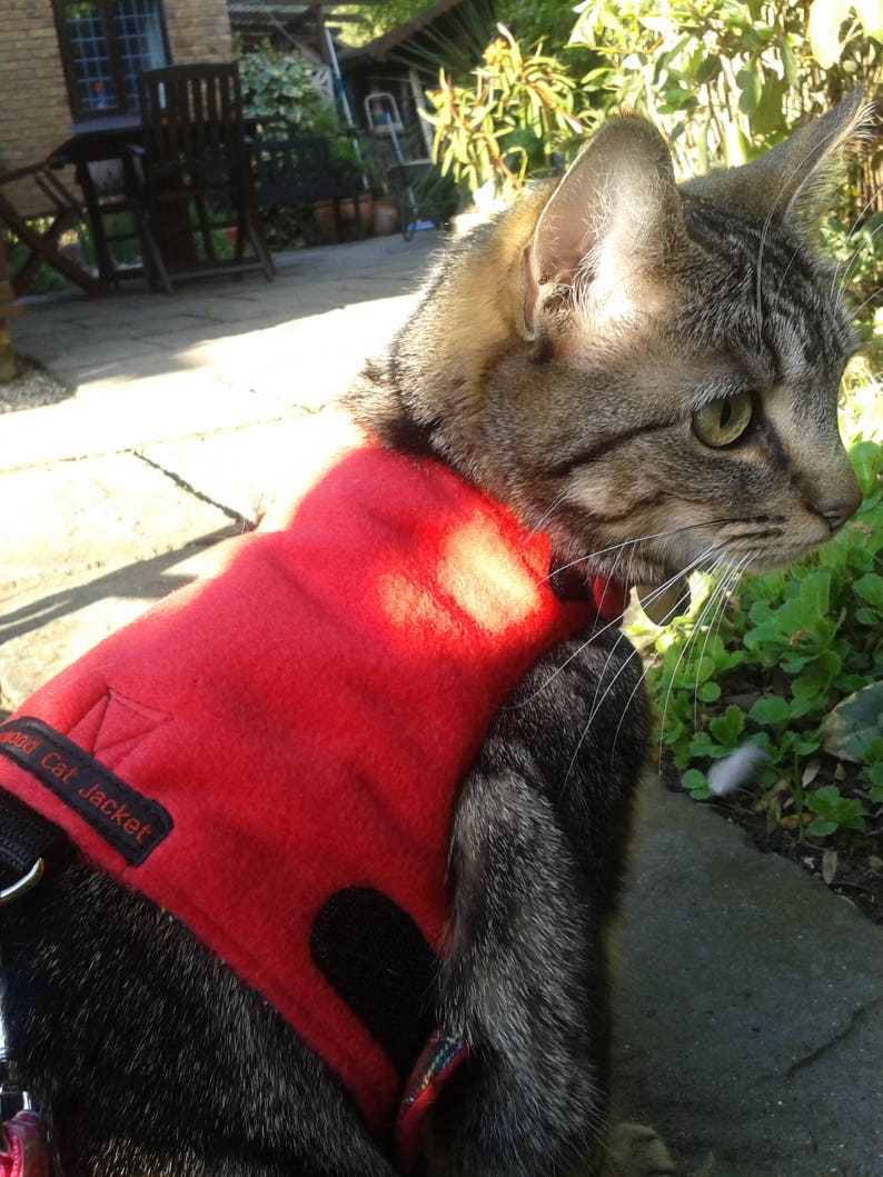 Mynwood Cat Walking Jacket Harness Vest all Tracked shipping Red Fleece