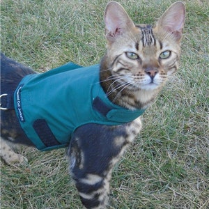 Mynwood Cat Walking Jacket Harness Vest all Tracked shipping Green