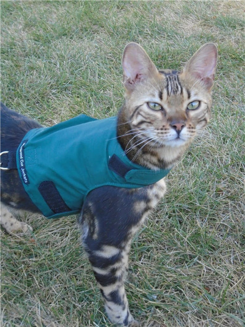 Mynwood Cat Walking Jacket Harness Vest all Tracked shipping Green