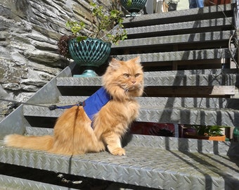 Mynwood Cat Walking Jacket Harness Vest - BLUE kitten or adult - all Tracked shipping