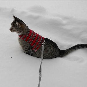 Mynwood Cat Walking Jacket Harness Weste alle Sendungsverfolgung Royal Stewart Tartan