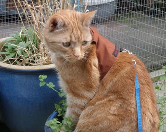 Mynwood Cat Walking Jacket Harness Vest - kitten or adult - all Tracked shipping