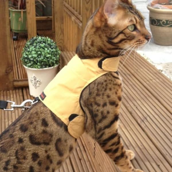 Mynwood Cat Walking Jacket Harness Vest