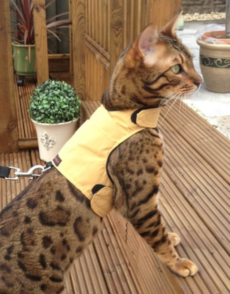 Mynwood Cat Walking Jacket Harness Vest all Tracked shipping caramel