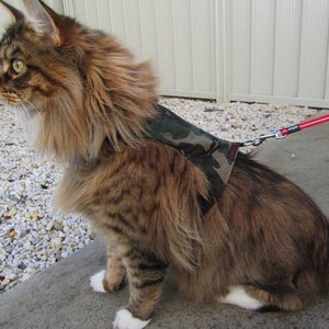 Mynwood Cat Walking Jacket Harness Vest all Tracked shipping Green Combat