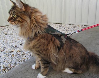 Mynwood Cat Walking Jacket Harness Vest - kitten or adult - all Tracked shipping