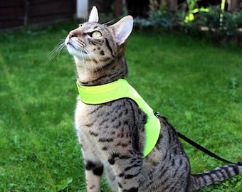 Mynwood Cat Walking Jacket Harness Vest High Visability yellow or orange