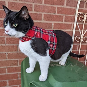 Mynwood Cat Walking Jacket Harness Vest - all Tracked shipping