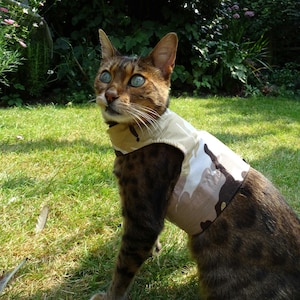 Mynwood Cat Walking Jacket Harness Weste alle Sendungsverfolgung Bild 7