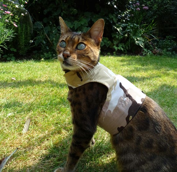 Mynwood Cat Walking Jacket Harness Vest 