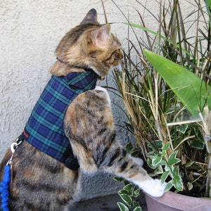 Mynwood Cat Walking Jacket Harness Weste alle Sendungsverfolgung Black Watch Tartan