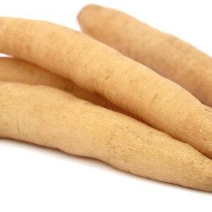 Photo of 4 clean white Shatavari roots