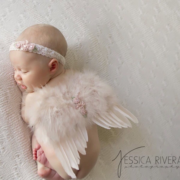 Blush angelo bambino ali dell'annata e/o corrispondenza Vintage pizzo fascia, per un neonato, servizio fotografico, foto del bambino, da Lil Miss Sweet Pea