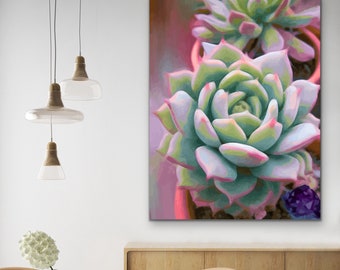 Echeveria With Amethyst, Traditional Stretched Canvas Reproduction, Original Art By Melodia, Contemporary, Modern, Scandi, Botanical Art