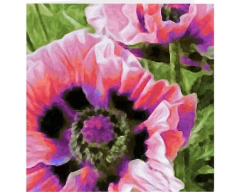 Ensemble stationnaire floral de cartes pliées vierges, coquelicots, peinture originale à l’huile imprimée sur un ensemble de 10 ou 25 cartes, florale, botanique, merci