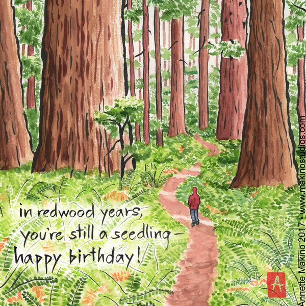 redwood forest birthday card - getting older but still a seedling
