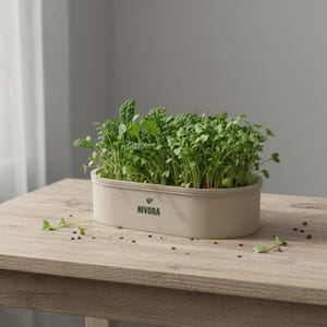 Op de afbeelding: Een beige rechthoekige plantenbak gevuld met levendige groene microgroenten staat op een lichtbruine houten tafel. De plantenbak heeft het woord "NIVORA" erop gedrukt. Losse microgroenten en peperkorrels liggen op de tafel.