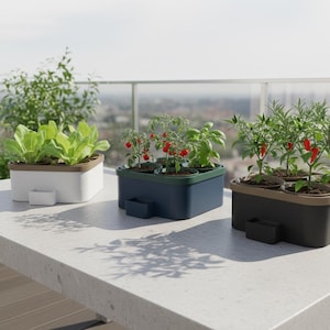 Könnte beinhalten: Rustikales Holzschild mit dem handgeschriebenen Text "Welcome to our home". Das rechteckige Schild hat eine Used-Optik und ein schlichtes, einladendes Design. Geeignet für den Innen- und Außenbereich.