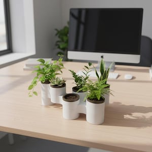 May include: A white, modular planter with five small potted plants on a light wood desk. The plants include a variety of green foliage. A computer monitor, books, and a window are in the background.