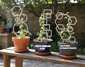Enrejado minimalista para plantas STL: diseños hexagonales, cuadrados y circulares. Soporte para plantas de interior.