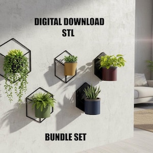 Pode incluir: Um conjunto de suportes de parede para plantas. A imagem mostra cinco molduras geométricas pretas, cada uma com uma planta em vaso diferente. Os vasos são de várias cores, incluindo amarelo, verde e azul. O texto "DIGITAL DOWNLOAD STL" e "BUNDLE SET" são exibidos.