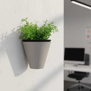 May include: A grey, wall-mounted planter with a black rim, filled with vibrant green plants. The cone-shaped planter casts a shadow on the white wall. The image suggests a modern, minimalist aesthetic.
