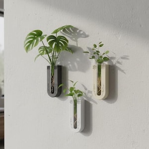 Wall Mounted Plant Propagation STL – Fits 16mm & 25mm Test Tubes