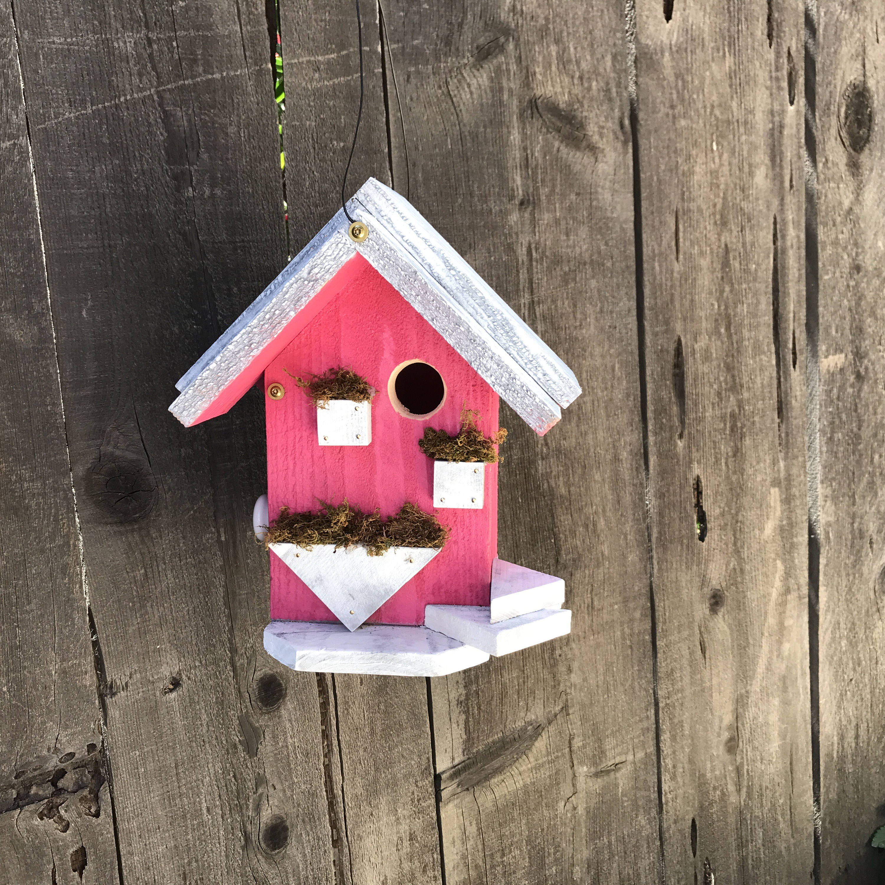 Bird House Bird Houses for Outdoors Wild Bird Birdhouses Etsy