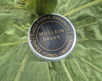 Può includere: Un barattolo di metallo rotondo con un'etichetta nera che riporta il testo dorato Three Forks Organics Mullein Salve. Il contenitore ha un bordo argentato ed è posizionato su uno sfondo di grandi foglie di pianta verde chiaro, testurizzate e vellutate.
