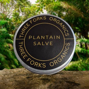 Ungüento de plátano a base de hierbas para la piel, ideal para cortes, raspaduras, picaduras de insectos, erupciones, quemaduras, piel seca y agrietada, eczema, psoriasis y calmante.