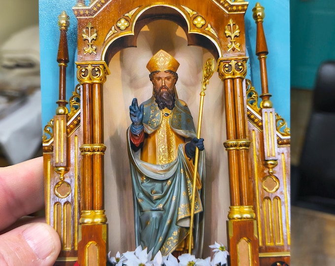 Photos from the Basilica of San Albino