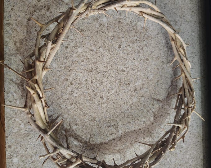 Crown of Thorns
