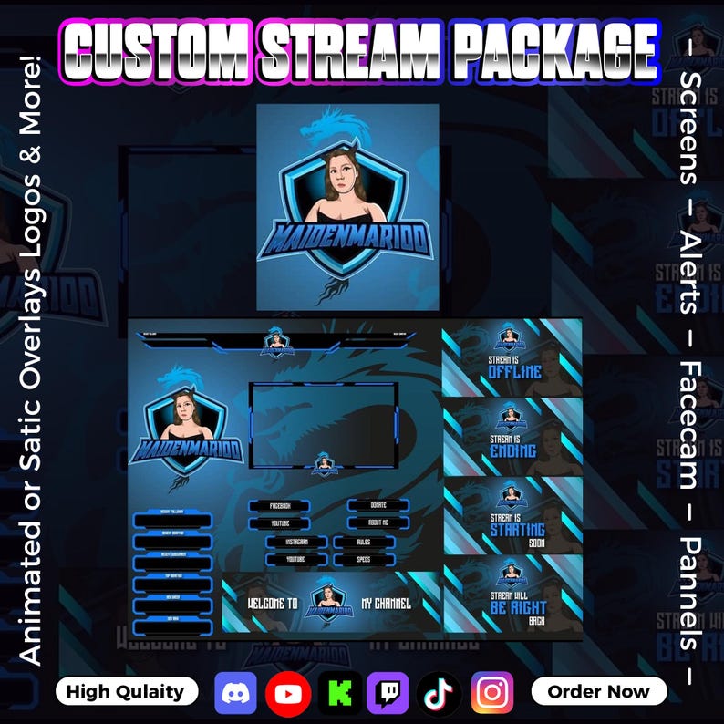 Custom Animated Stream Overlay Package | Scenes, Alerts, Panels ...